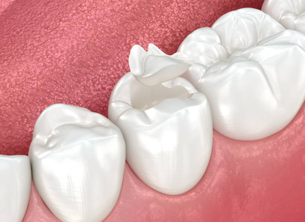 Our Range of Dental Services in Saco, ME